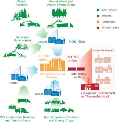 Muesli als grondstof voor duurzame biobrandstoffen: een revolutionaire benadering in de energie-industrie?!